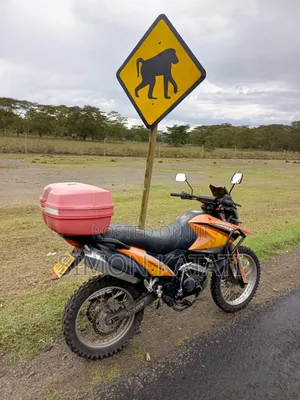Raleigh 250cc 2019 Orange