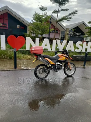 Raleigh 250cc 2019 Orange