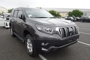 Toyota Land Cruiser Prado 2019 Gray
