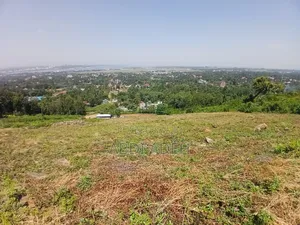 Title: Prime 0.15Ha in Riat Hills