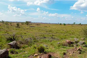 Land for Sale in Juja - 20 Acres