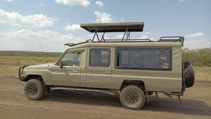 Toyota Land Cruiser 2013 Beige
