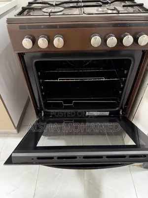 Electric Gas Cooker