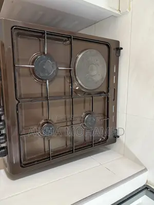 Electric Gas Cooker