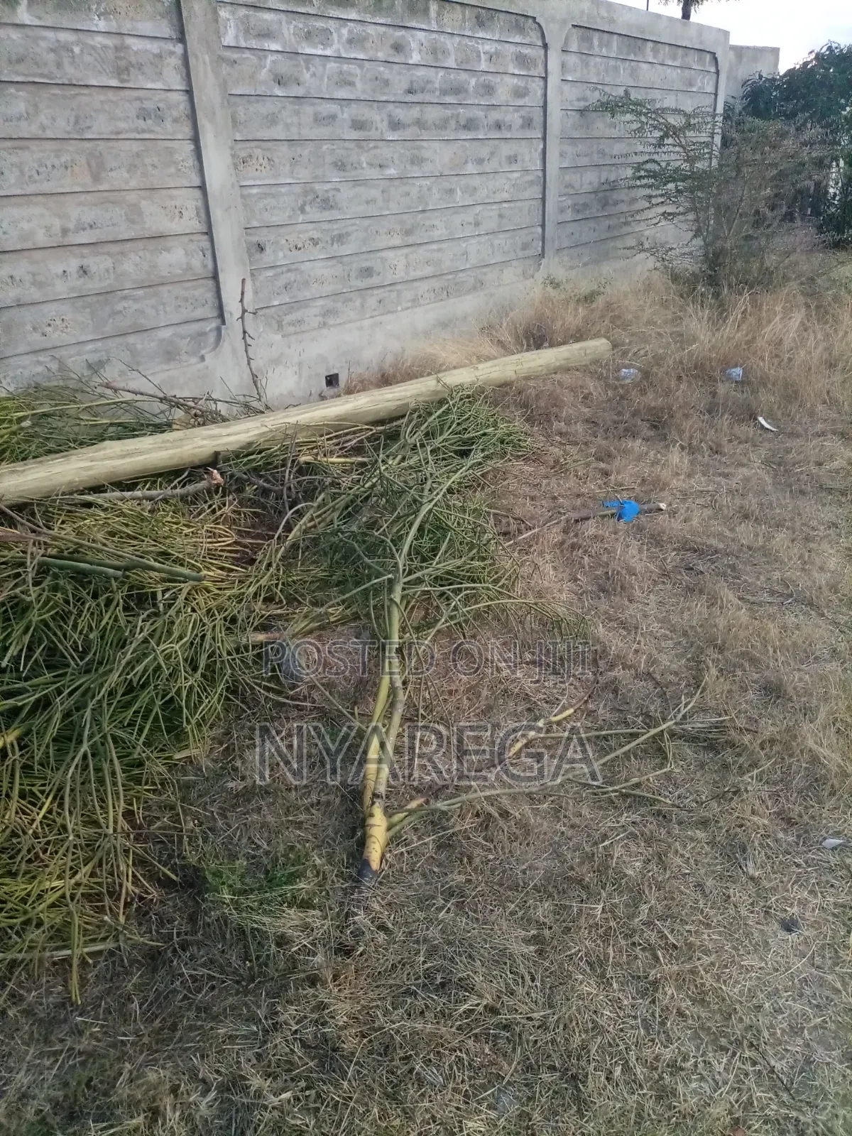 Prime Properties Along Kangundo Road.