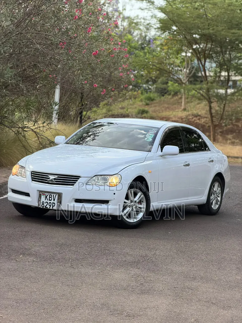 Toyota Mark X 2006 White