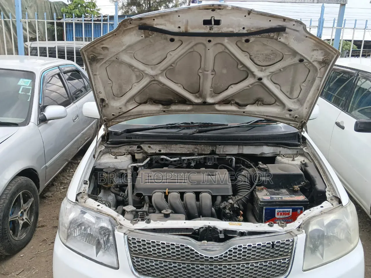 Toyota Corolla Fielder 2008 White
