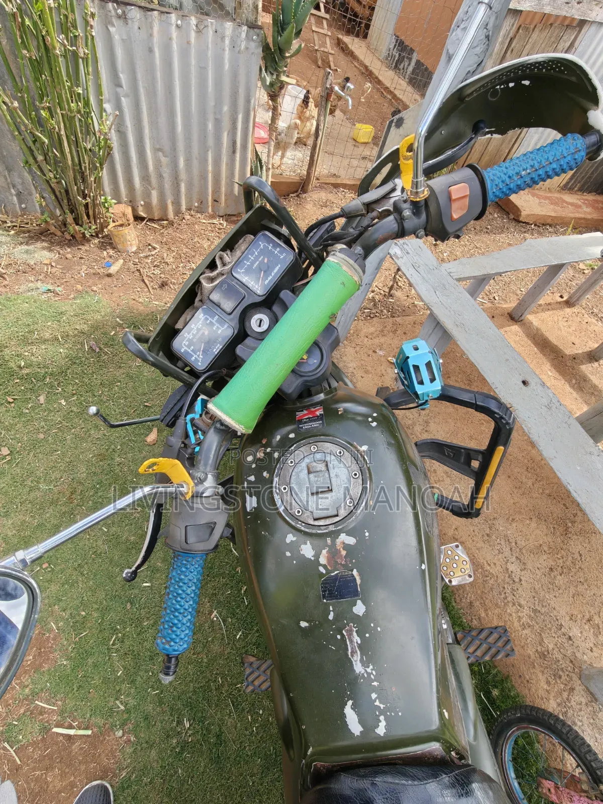 Raleigh 150cc 2013 Green