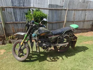 Raleigh 150cc 2013 Green