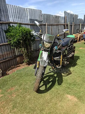 Raleigh 150cc 2013 Green