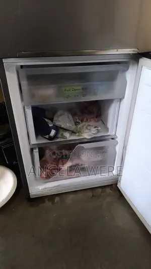 Samsung Fridge