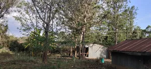 A Very Prime Residential 1/2 Acre Land in Karen.