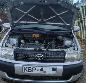 Toyota Probox 2005 Silver