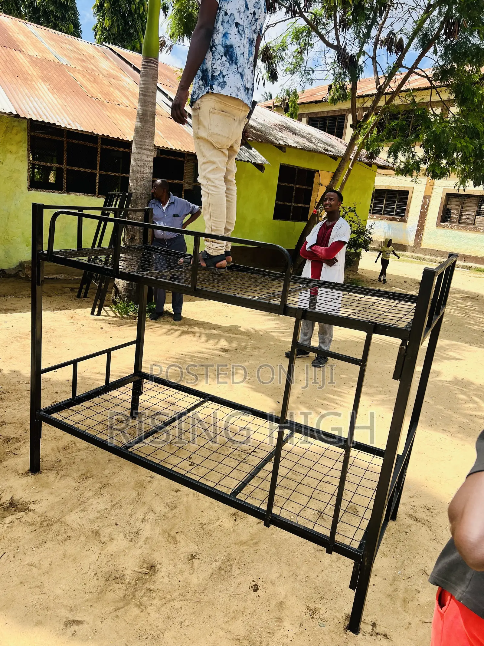 Double Decker Students Beds. With Ladder and Guard