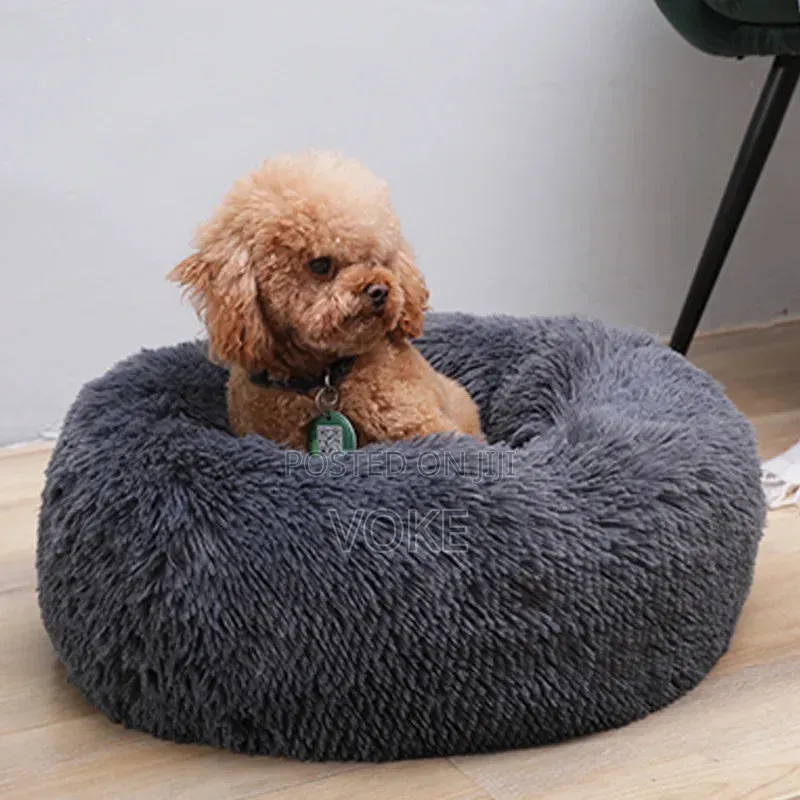 Pet Cushion/Bed