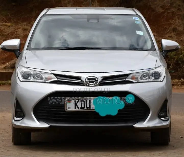 Toyota Corolla Fielder 2019 Silver