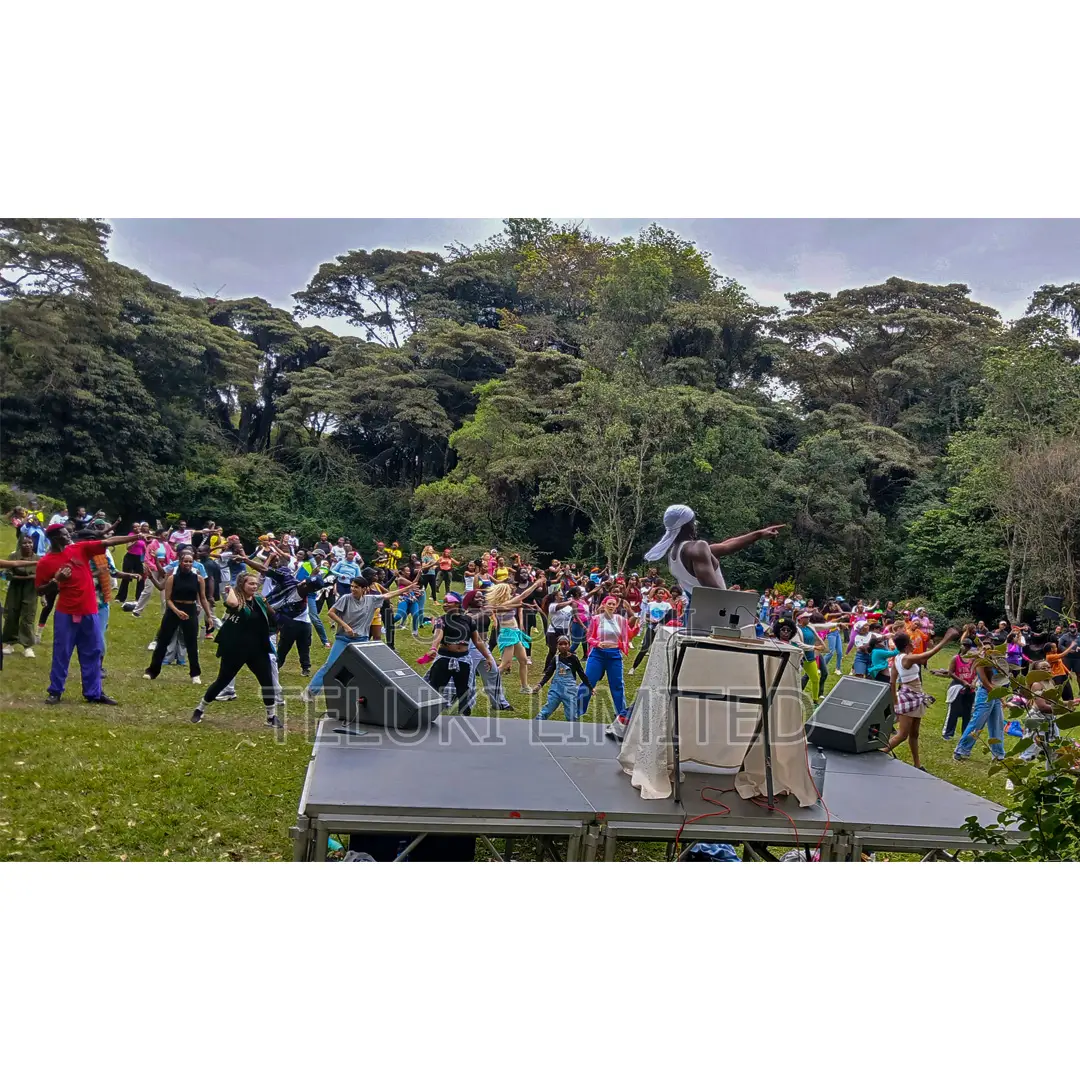 Line Array PA System for Hire in Nairobi