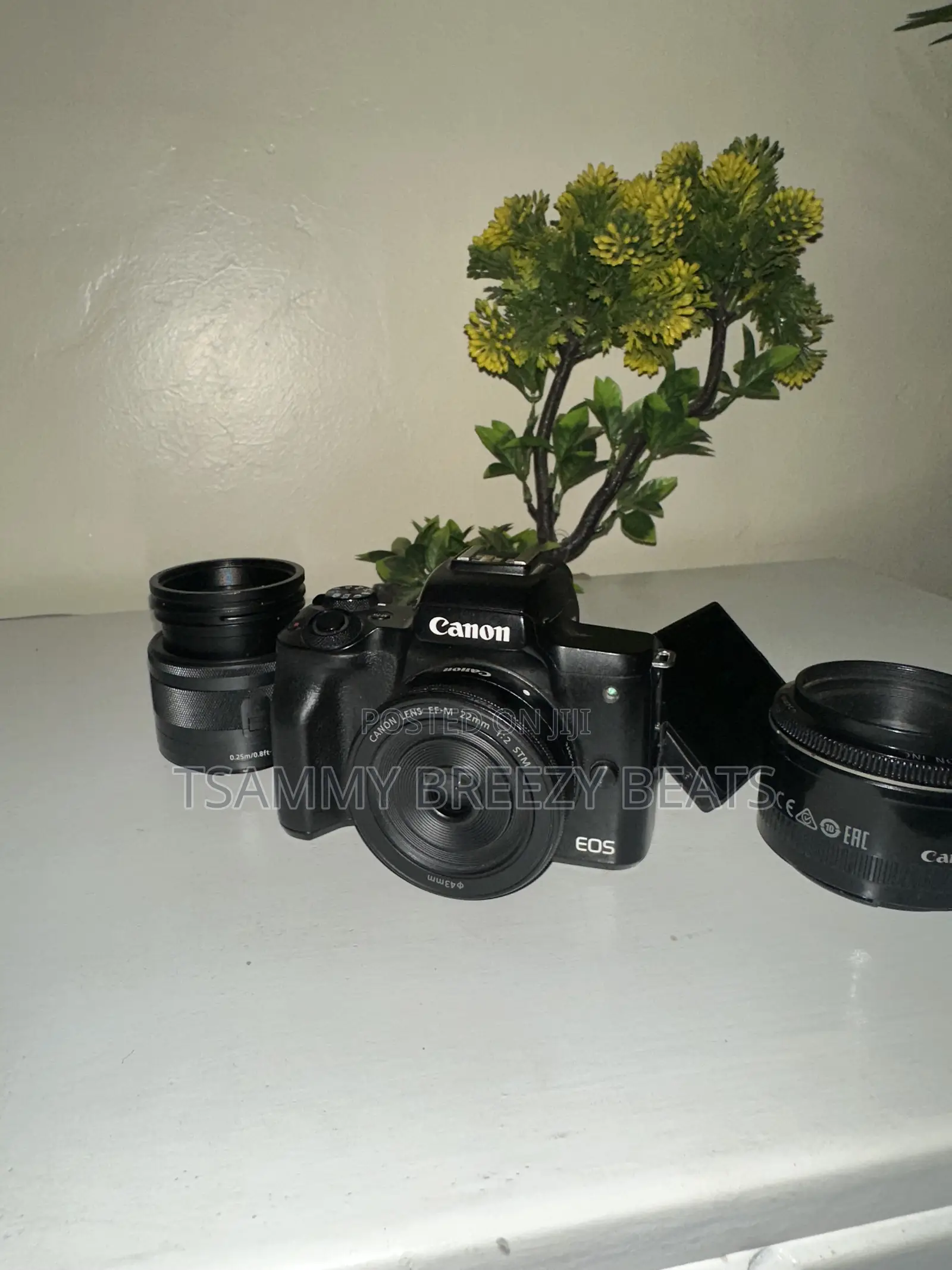 The Canon EOS M50 Mark II Mirrorless Camera
