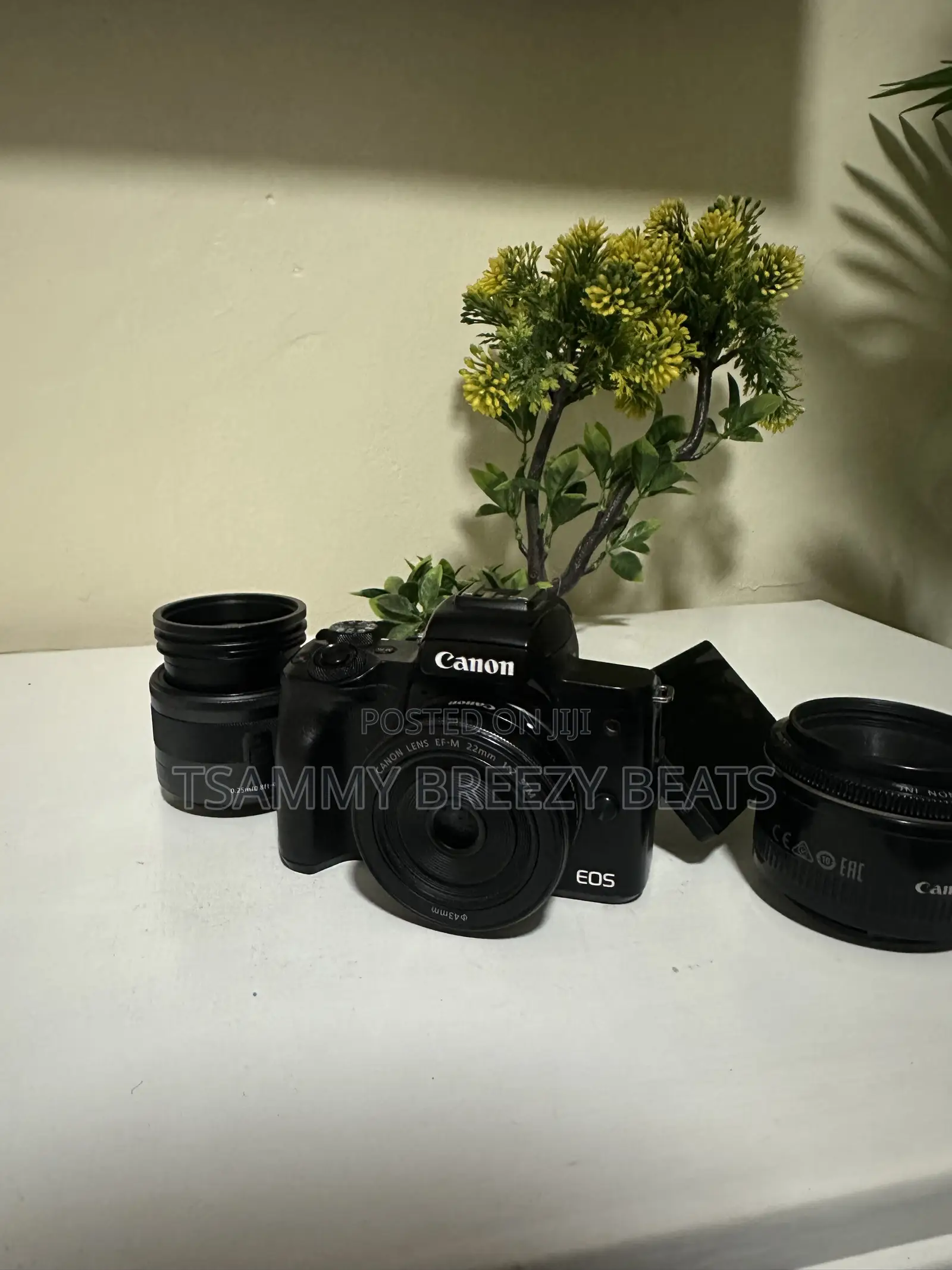 The Canon EOS M50 Mark II Mirrorless Camera