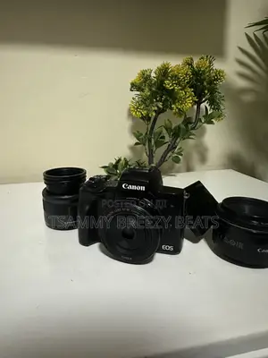 The Canon EOS M50 Mark II Mirrorless Camera