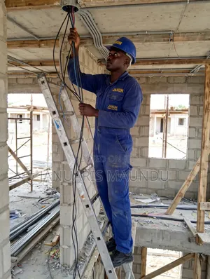 Professional Electrician