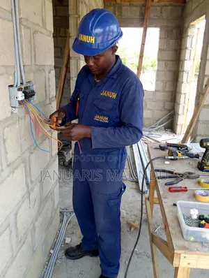 Professional Electrician