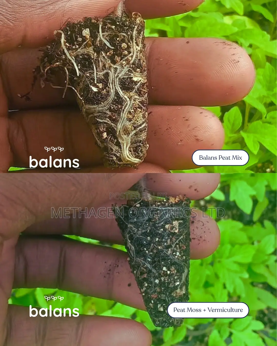 Balans Peat Mix