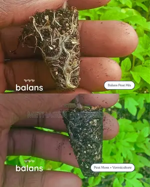 Balans Peat Mix