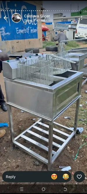 Stainless Steel Double Fryer
