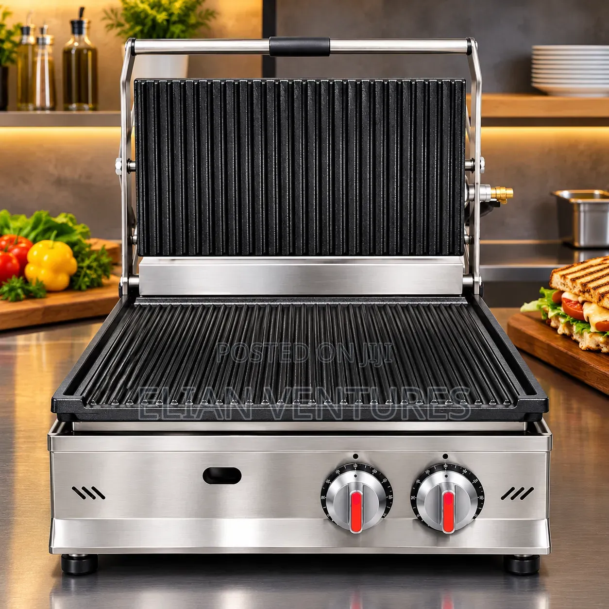 Most Unique Panini Grill Maker for Sale