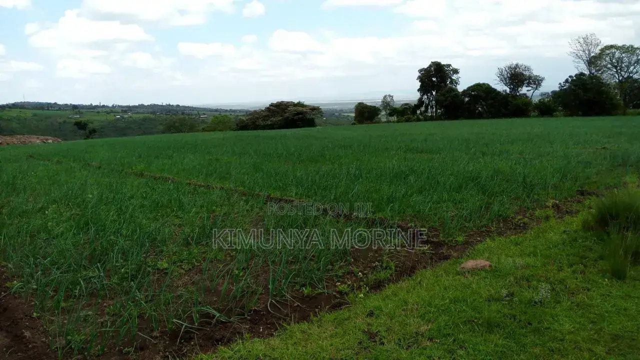 Agricultural Land
