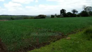 Agricultural Land