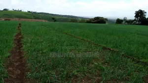 Agricultural Land