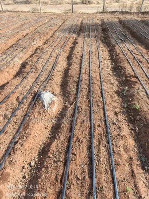 Drip Installation 1/2 Acre Kit