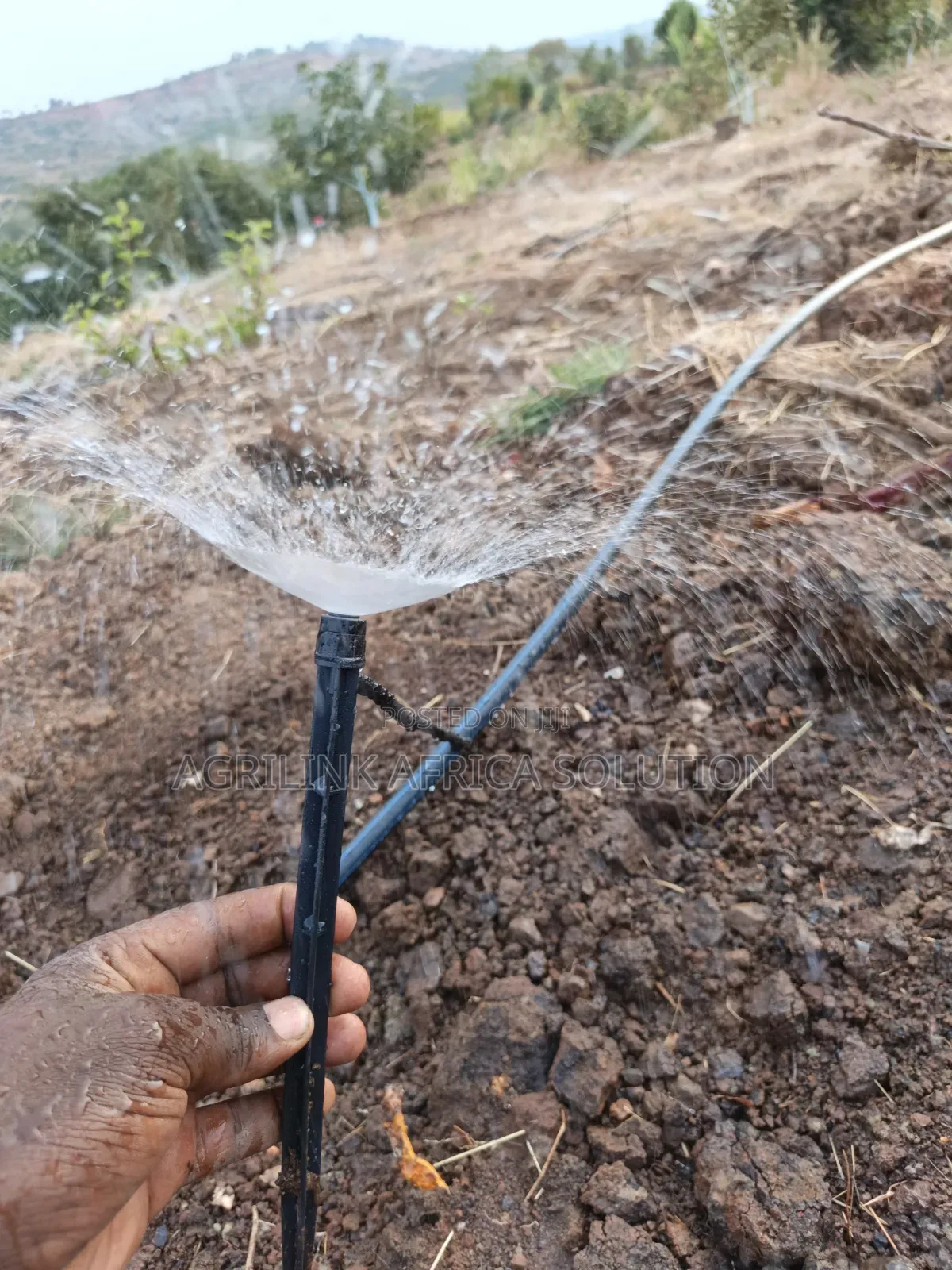 Microjet Sprinkler