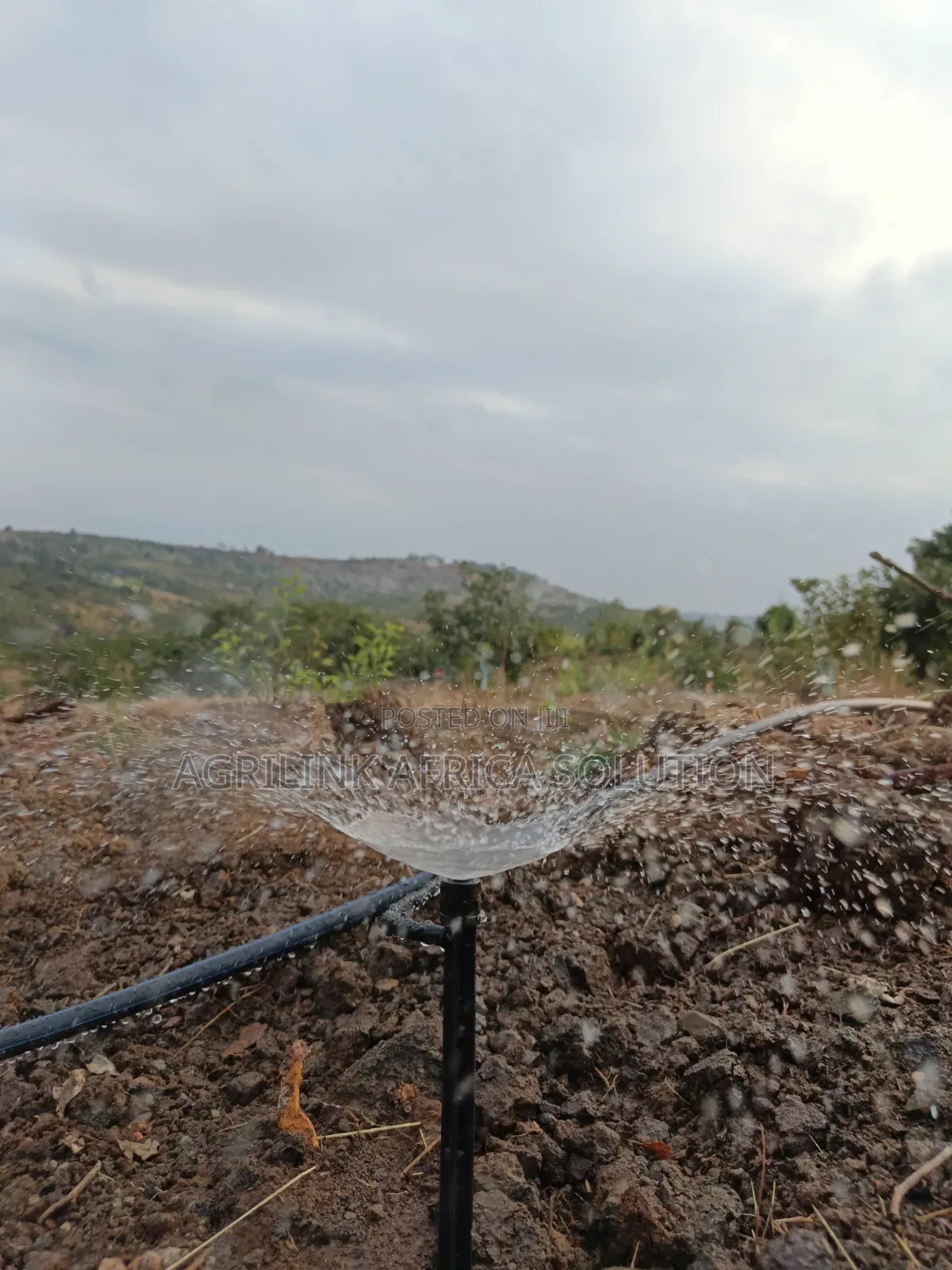 Microjet Sprinkler