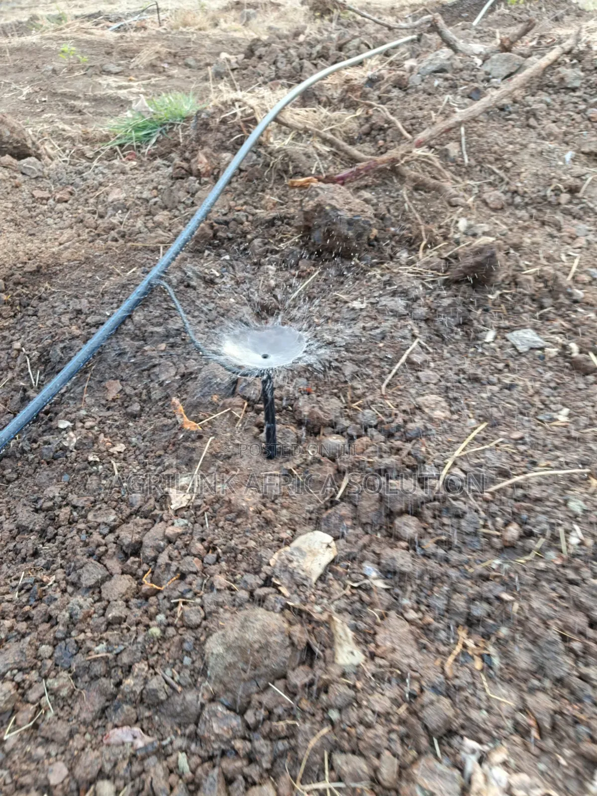 Microjet Sprinkler