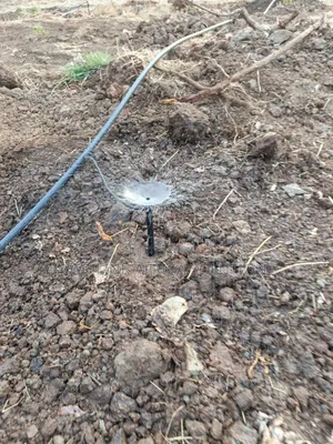 Microjet Sprinkler