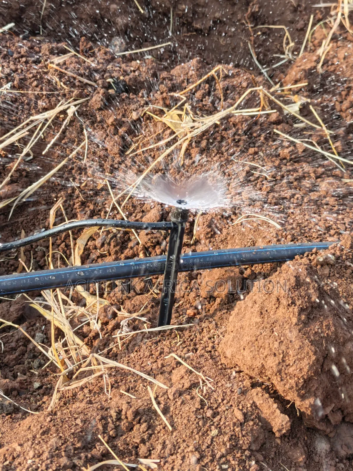 Microjet Sprinkler