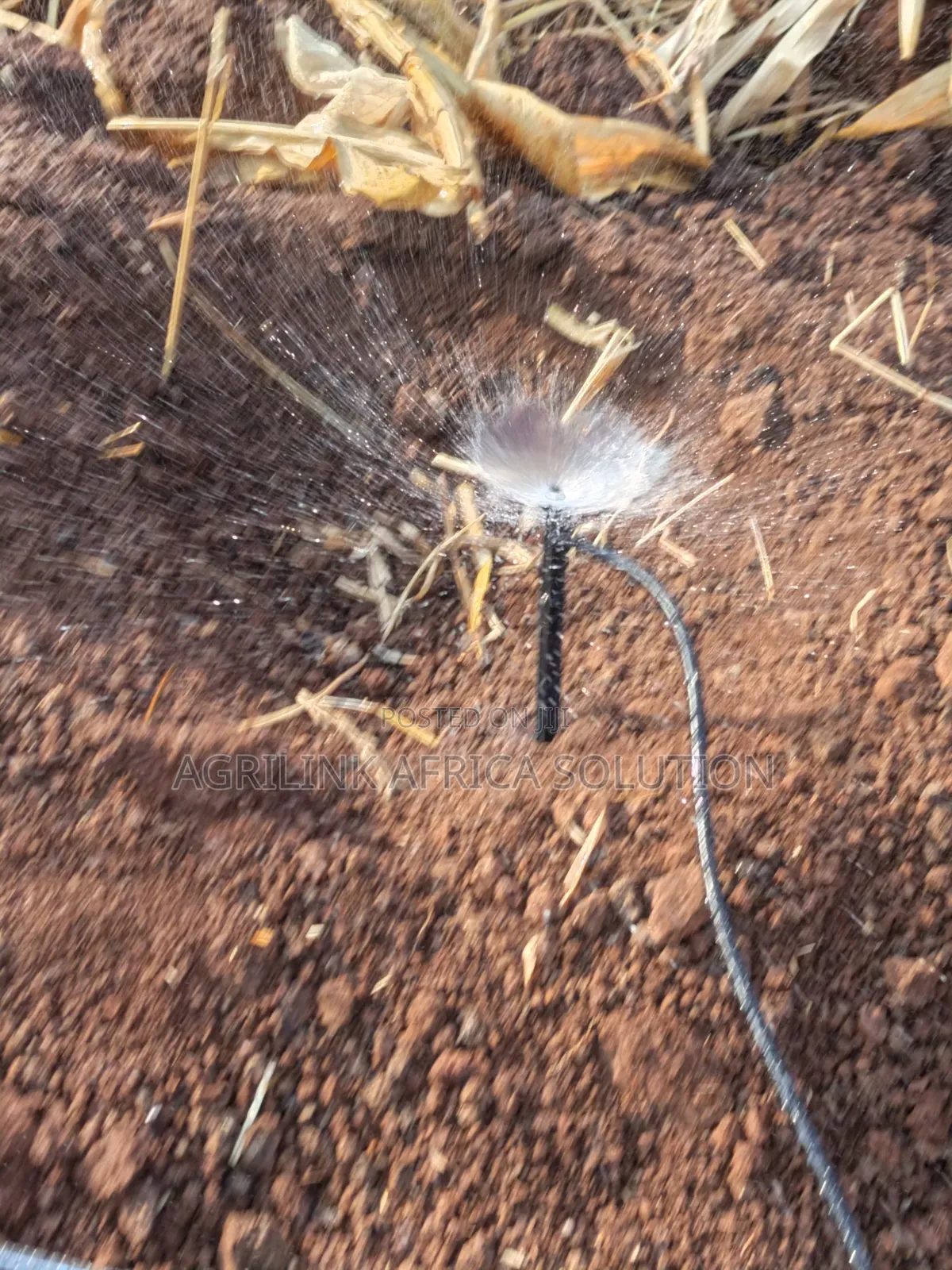 Microjet Sprinkler
