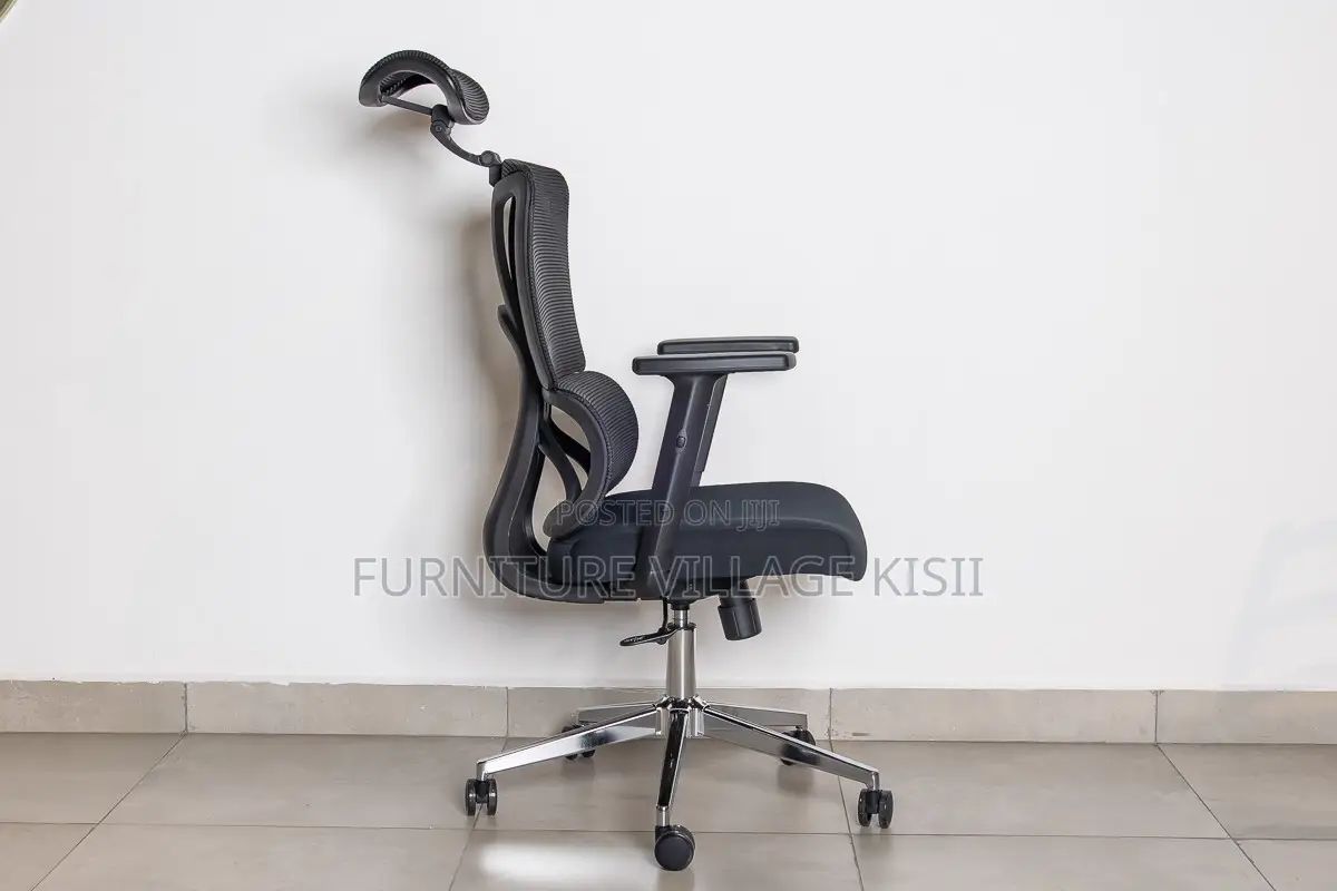 High -Back Orthopedic Office Chair.