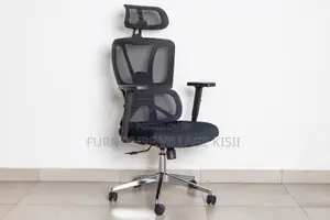High -Back Orthopedic Office Chair.