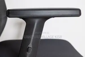 High -Back Orthopedic Office Chair.