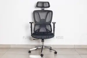 High -Back Orthopedic Office Chair.