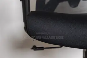 High -Back Orthopedic Office Chair.