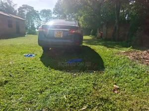 Nissan Sylphy 2016 Green