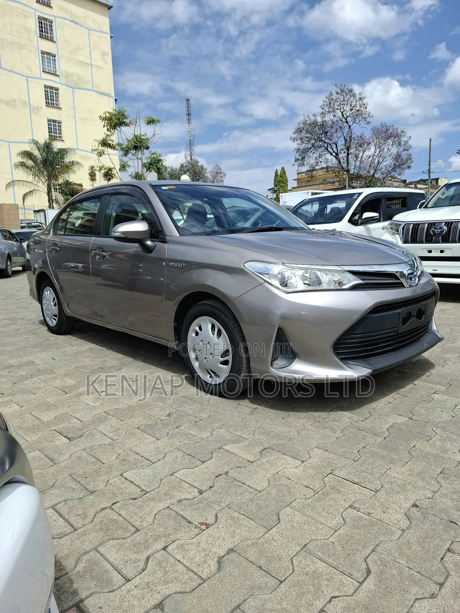 Toyota Axio 2019 Brown