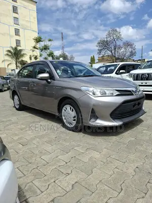 Toyota Axio 2019 Brown
