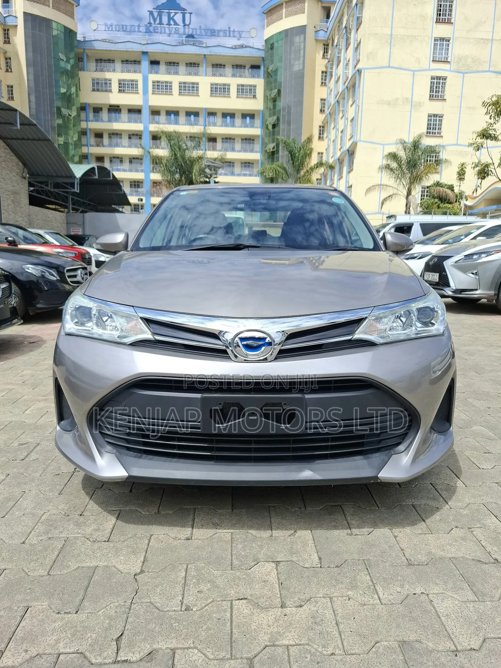 Toyota Axio 2019 Brown