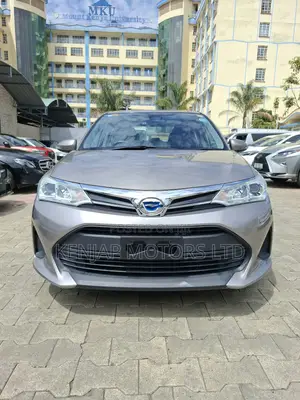 Toyota Axio 2019 Brown